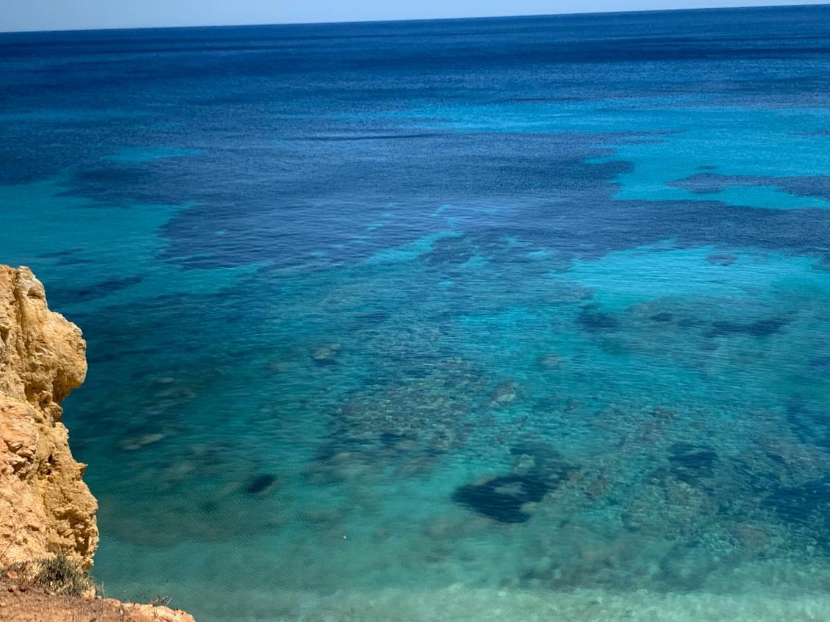 Ibiza Paradise Bed and Breakfast Santa Eularia des Riu Esterno foto