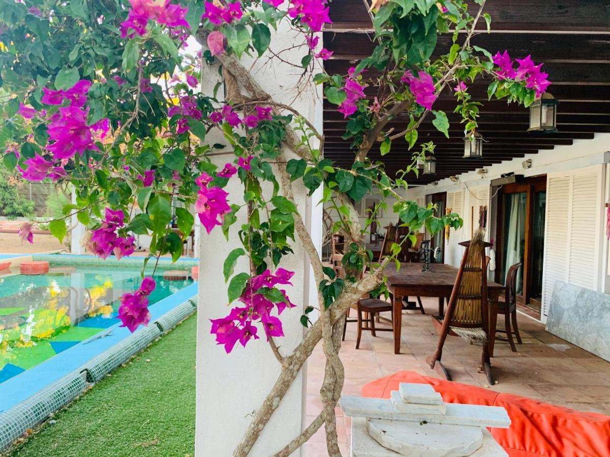 Ibiza Paradise Bed and Breakfast Santa Eularia des Riu Esterno foto